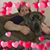 Niki Whaley's profile image