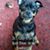 Linda Bahr's profile image