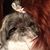 Debbie Koseki's profile image