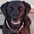 Janelle Maasdam's profile image