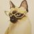 Marah Weigel's profile image
