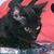 Cynthia Bischof's profile image