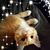 Cyndi Eliasen's profile image