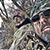 Rob Vovk's profile image