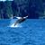 Vickie Fitzpatrick's profile image
