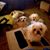 Virginia Clark Reeves's profile image