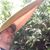 Matt McGlinn's profile image