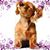 Mary Cofrancesco's profile image