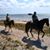 Sue N Joe Baker's profile image