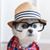Randy Stephen Bailey's profile image