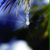 Nicki Carlton Boggs's profile image