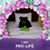 Gary Ratliff's profile image