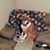 Missy Scott Williams's profile image