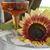 Barb Claussen's profile image