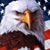 Mellyn Schurtz Benton's profile image
