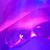 Eleet Doja's profile image