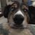 Merilyn Johnson's profile image