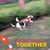 Jo Ann Alley's profile image