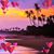 Roberta Boyers's profile image