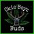 Aric Harp's profile image