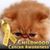 Andrea Brown's profile image
