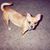 Roger N Sheila Mims's profile image