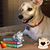 Nancy Roseberry's profile image