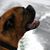 Rodney Lefler's profile image