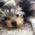 Trevor Brenda Weston's profile image