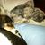 Dawn Fairweather DiMilta's profile image