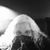 Beverly Foyse's profile image