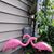 Laura Narsh Ivey's profile image