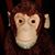 Sheri Tanner Scott's profile image