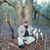 Paul Bryant Chappell's profile image