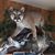 Mary Kennedy Quante's profile image