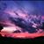 Susan McCammon's profile image