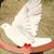 Victor Castillo's profile image