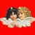 Melissa Hatz Rosen's profile image