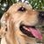 Tina Wolfe Lange's profile image