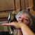 Laurie Elaine Grobbink's profile image