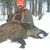 Scott Brassfield's profile image