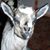 Charlene Martin's profile image