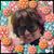 Nancy Brito's profile image