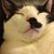Ellen Reid's profile image