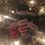 Kimberly Scott Payne's profile image