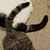 Susan Kyle Bates's profile image