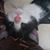Jamie Gibbons McCusker's profile image