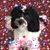 Diane Irving's profile image