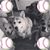 Bridget Williams's profile image