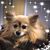 Maria Faucette's profile image